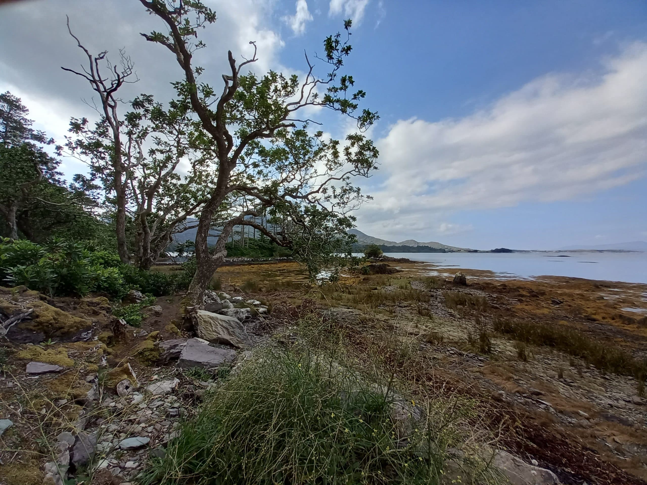 Privacy policy — Cosy Holiday Homes Kenmare, Co. Kerry
