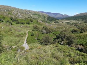 ceann mara court 12.34