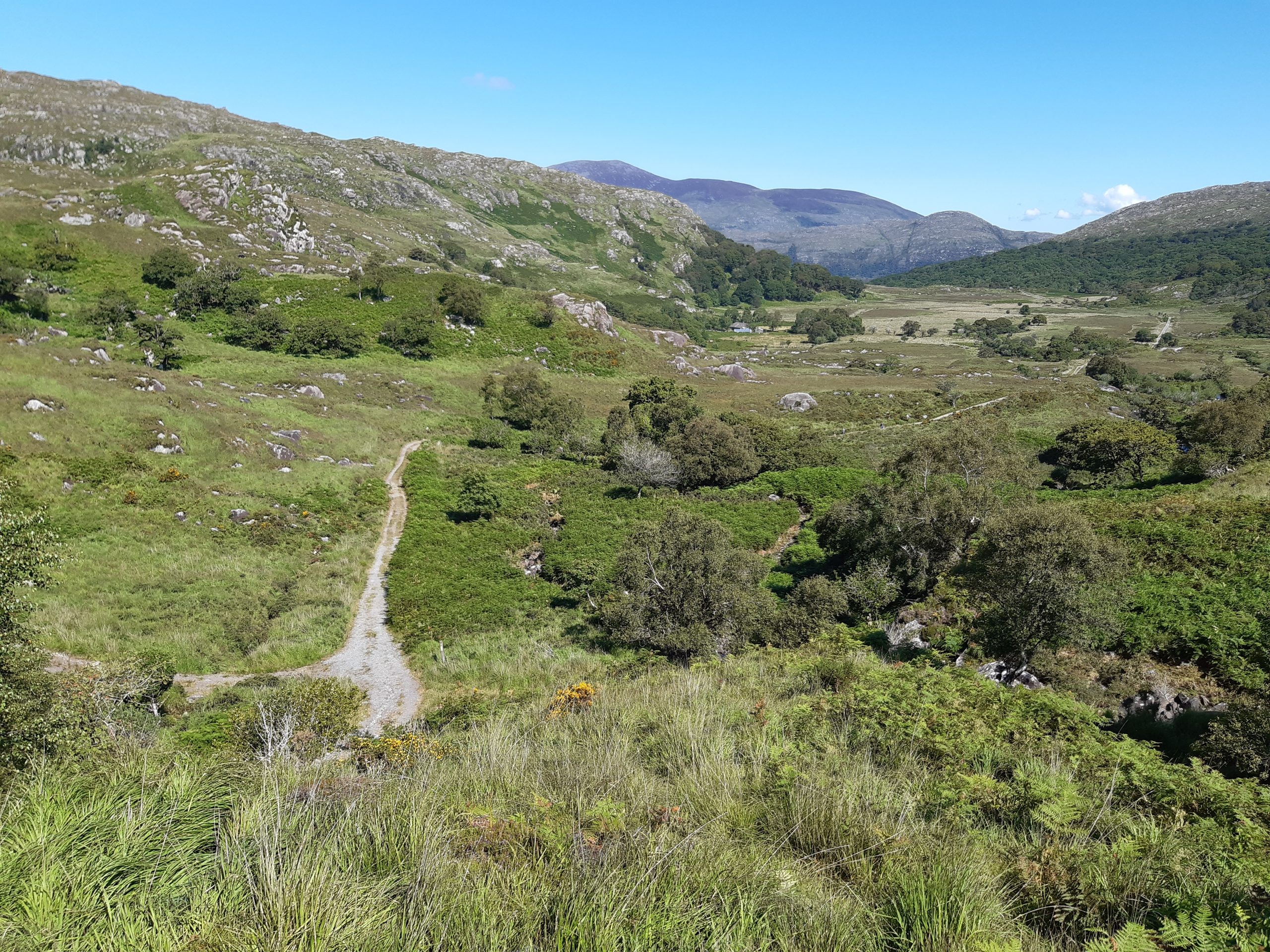 ceann mara court 12.34