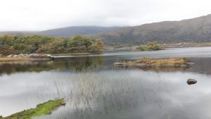 ceann mara court 12.33