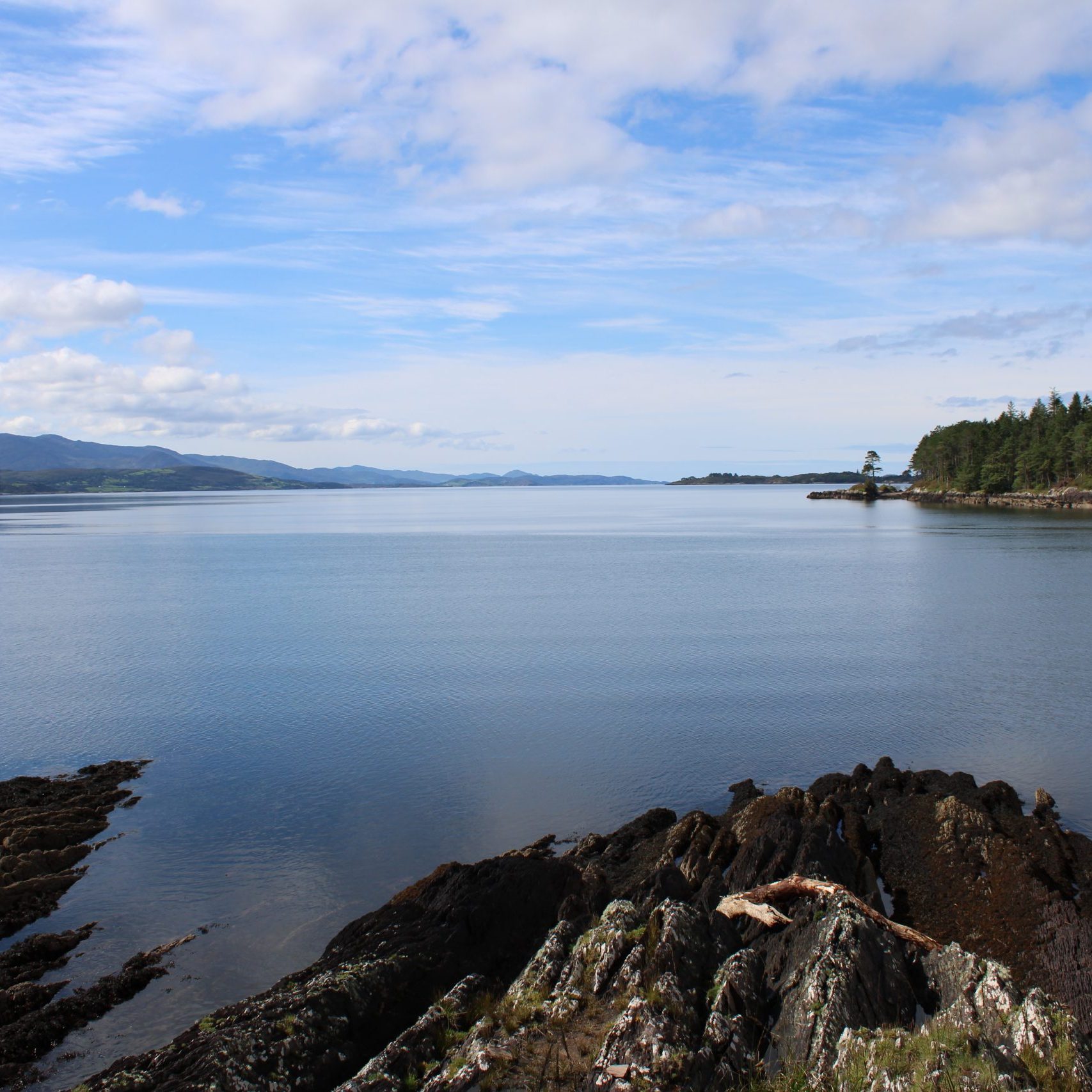 Kenmare bay